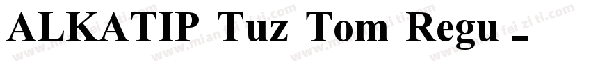 ALKATIP Tuz Tom Regu字体转换